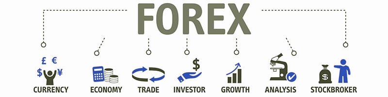 Piața Forex și piața crypto - asemanari si deosebiri